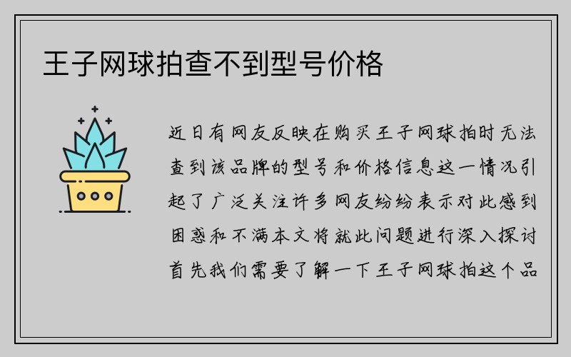 王子网球拍查不到型号价格